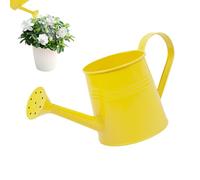 Arrosoir pour d'intérieur | Arrosoir de Jardin | Arrosoir de Jardin de 1 L avec Long Bec | Seau d'arrangement Floral, Vase en métal pour Jardinage extérieur et intérieur