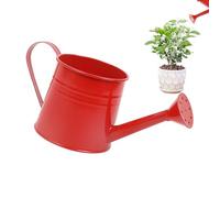 Arrosoir pour d'intérieur | Arrosoir de Jardin | Arrosoir de Jardin de 1 L avec Long Bec | Seau d'arrangement Floral, Vase en métal pour Jardinage extérieur et intérieur