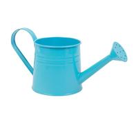 Arrosoir pour d'intérieur | Arrosoir de Jardin | Arrosoir de Jardin de 1 L avec Long Bec | Seau d'arrangement Floral, Vase en métal pour Jardinage extérieur et intérieur