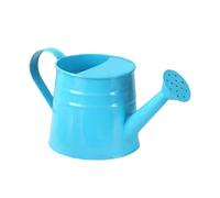 Arrosoir pour Enfants, Pot d'eau de Jardinage en Métal, Mini Bouilloire pour Bonsaï, Fleurs, Plantes en Pot, Maison, Jardin, Bleu