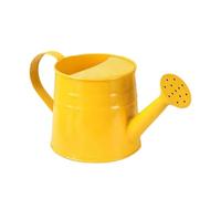 Arrosoir pour Enfants, Pot d'eau de Jardinage en Métal, Mini Bouilloire pour Bonsaï, Fleurs, Plantes en Pot, Maison, Jardin, Jaune
