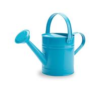 Arrosoir pour plante d'intérieur - Petit arrosoir pour plante d'intérieur, jardin, fleur - Long bec - Pour eau extérieure - Poignée ergonomique en métal