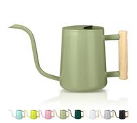 Arrosoir pour plantes d'intérieur - 1 l - Petit arrosoir d'intérieur en métal et acier inoxydable - Arrosoir décoratif moderne avec long bec - Pour maison, plante, bonsaï, extérieur, jardin, fleurs