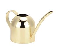 Arrosoir pour Plantes d'intérieur, arrosoir de 500 ML en Acier Inoxydable avec Bec Long, Petite canette d'eau en métal pour Plantes d'intérieur et d'extérieur, Outils d'irrigation (Or)