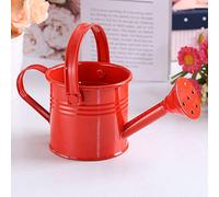 Arrosoir pour Plantes D'intérieur, Arrosoir pour Fleurs, Arrosoir en Métal, Arrosoir D'intérieur avec Tête de Pulvérisation, Arrosoir pour Enfants(Rouge)