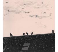 Stuart A. Staples – Arrythmia – Vinyle 12" – Neuf