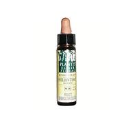 ART. AGRICOLA Plantis 26 Heliantemo 30 ml