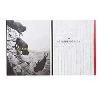 Art AIDS America Art AIDS America Chicago Boxed Set by Staci Boris Staci Boris (Auteur)