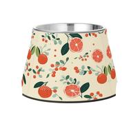 Art Aquarelle De Pamplemousse Gamelles AntidéRapantes pour Chiens,Empilables en Acier Inoxydable pour Chiots