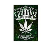 Art Cannabis Poster sur toile Motif Herbal Remedy 40 x 60 cm