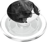 Art - Chien Salvador Dalí Teckel PopSockets PopGrip pour MagSafe