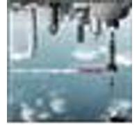 Art contemporain chinois Michel Nuridsany (Auteur)