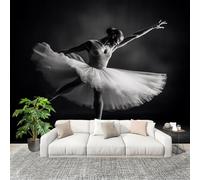 Art Danseurs de Ballet Spectacle Papier Peint Photo Intissé Poster Murale Papier Peint 200x140 cm Gris Fresque Murale Anti-poussière, Idéal pour Rénovation ou Décoration Personnalisée