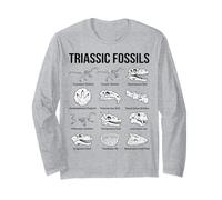 Art de la paléontologie Scientifique des fossiles du Trias Manche Longue