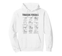 Art de la paléontologie Scientifique des fossiles du Trias Sweat à Capuche
