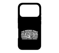 Art de Voyage panoramique de Natchez Trace Coque pour iPhone 17 Pro