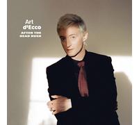 ART D'ECCO - AFTER THE HEAD RUSH VINYL LP NEUF