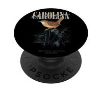 Art des Oiseaux Troglodytes de Caroline Vintage et Observation de la Nature PopSockets PopGrip Adhésif