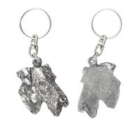 Art-Dog Porte-clés chien mignon - Collection exclusive Porte-clés mignon Airedale Terrier II - Porte-clés mignons plaqués argent avec cadenas 2,5-4,3x5x10,7cm