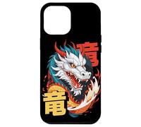 Art Dynamique du Dragon Asiatique avec Kanji et Aura de feu Coque pour iPhone 12 Pro Max