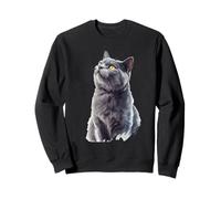 Art félin Gris Curieux d'un Chat Britannique à Poil Court Sweatshirt