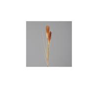 ART FLORAL-Herbe de la pampa crème/brun artificielle - 107 cm