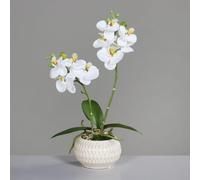 ART FLORAL-Orchidée crème artificielle en pot céramique Real Touch - 36 cm