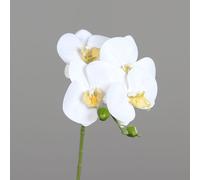 DPI Orchidée artificielle Crème env. 66 cm