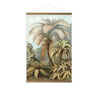 Art for the Home Kakemono affiche Jungle filicinae 100 x 70cm Multicolore