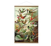 Art for the Home Kakemono affiche Vol d'oiseaux tropicaux Colibris 60 x 80cm Multicolore | Décoration Murale, Décoration Salon