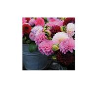 Art for the Home Tableau de jardin Fleurs de dalhia 50 x 50cm Rose | Décoration Murale, Décoration Chambre Salon