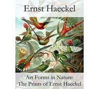 Art Forms in Nature: The Prints of Ernst Haeckel