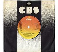 ART GARFUNKEL WITH JAMES TAYLOR AND PAUL SIMON - WHAT A WONDERFUL WORLD 7" (45) BRAZILLIAN CBS 1978