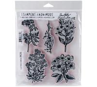 Art Gone Wild Tim Holtz illustré Garden Ensemble de tampons en Caoutchouc étirable, Multicolore