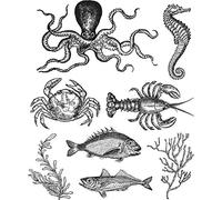 Art Gone Wild Tim Holtz Mer Vie Ensemble de tampons en Caoutchouc étirable, Multicolore