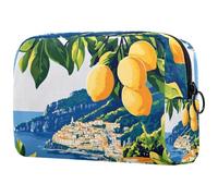 Art Italian Summer Coast Lemon Branch Petite trousse de maquillage pour femme Sac de rangement cosmétique avec fermeture éclair Sac de rangement pour accessoires de beauté, Multicolore 07