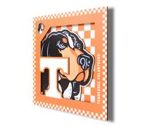 Art mural de la série 3D du logo des volontaires du Tennessee de la NCAA YouTheFan - 12x12