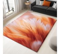 Art Numérique Gros Plan sur Une Plume Tapis de Salon - 160 x 230 cm, Poil Court Fin Doux Léger Résistant, Couleur Orange Tapis de Chambre Lavable en Machine pour Salle à Manger et Bureau Moquette