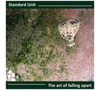 Art Of Falling Apart