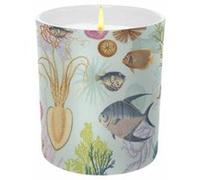 Art of Nature Under the Sea Scented Glass Candle by Insight Editions Insight Editions (Auteur)