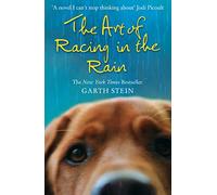 Art Of Racing In The Rain
