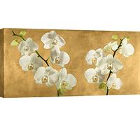 ART PRINT CAFE' - Tableau fleurs - impression sur toile - Andrea Antinori - Orchidées sur fond doré - mesure 70 x 35 cm