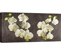 ART PRINT CAFE' - Tableau fleurs - impression sur toile - Andrea Antinori - Orchidées sur fond gris - mesure 70x35 cm