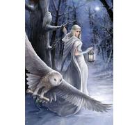 ART PUZZLE Puzzle Collection Anne Stokes : Midnight Messenger 1000 pièces