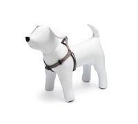 Art Sportiv Plus Gris - Nylon - 40/70 Cm - Largeur 25 Mm