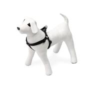 Art Sportiv Plus Harnais Noir - Nylon - 40/70 Cm - Largeur 25 Mm