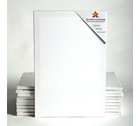 Art-Star 10x Chassis ENTOILÉ UNIVERSITÉ 40x80 cm | Toiles sur châssis 40x80 cm | Toile préimprégnée, prêts à Peindre, châssis avec Toile