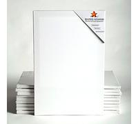 Art-Star 10x Chassis ENTOILÉ UNIVERSITÉ 50x70 cm | Toiles sur châssis 50x70 cm | Toile préimprégnée, prêts à Peindre, châssis avec Toile