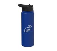 Art vintage du dinosaure Dilophosaure Stainless Steel Insulated Water Bottle