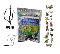 ART1 Peigne en paquebot réglable mesure par cocorite à amazon 3 mm élastique et ruban 10 mm, boucles plastique gainage 3 mm noir 1 m (noir tout 10 mm)